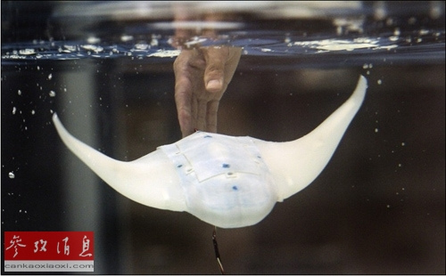 ���в��ԵĻ�������