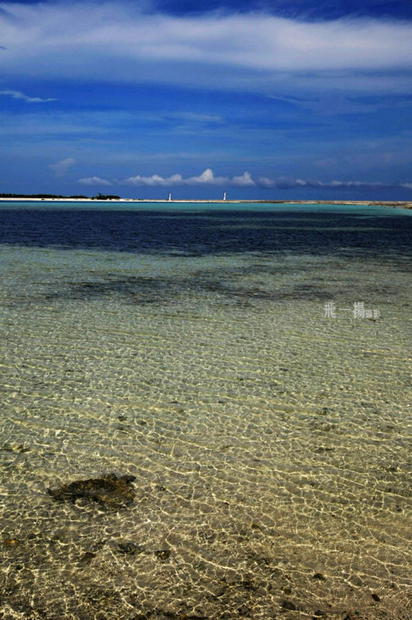 海南在三沙建珊瑚礁保护区 确保科学开发南海资源