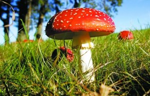 1345167028094_U310P4T8D4113589F107DT20120817082718.jpg