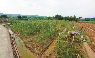 港府官员谈新界东北发展规划:可修改但绝不撤回